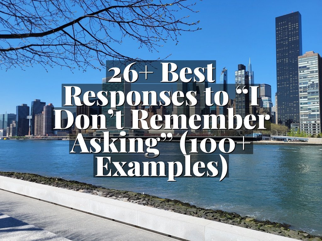 26+ Best Responses to “I Don’t Remember Asking” (100+ Examples)