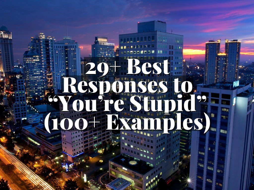 29+ Best Responses to “You’re Stupid” (100+ Examples)