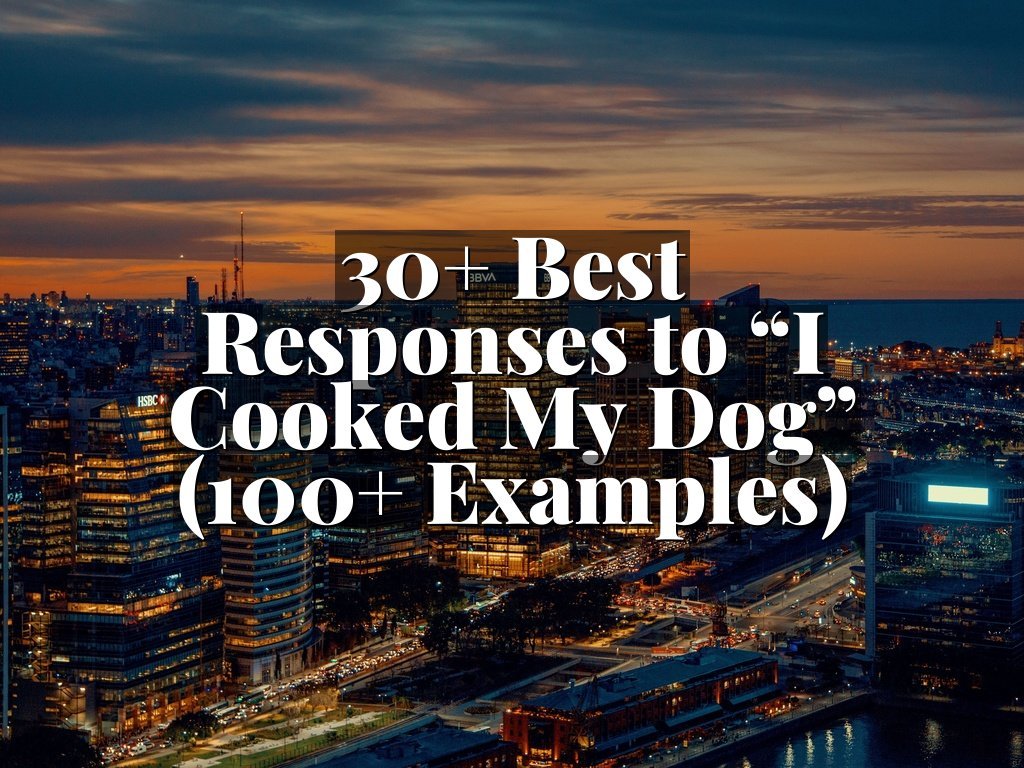 30+ Best Responses to “I Cooked My Dog” (100+ Examples)